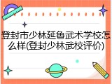 登封市少林延鲁武术学校怎么样(登封少林武校评价)