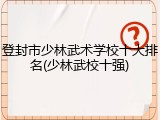 登封市少林武术学校十大排名(少林武校十强)