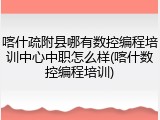 喀什疏附县哪有数控编程培训中心中职怎么样(喀什数控编程培训)