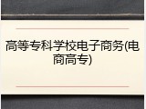 高等专科学校电子商务(电商高专)