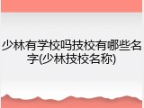 少林有学校吗技校有哪些名字(少林技校名称)