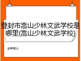 登封市嵩山少林文武学校是哪里(嵩山少林文武学校)