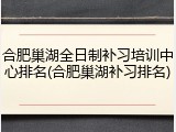 合肥巢湖全日制补习培训中心排名(合肥巢湖补习排名)