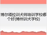 博尔塔拉训犬师培训学校哪个好(博州训犬学校)