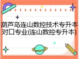 葫芦岛连山数控技术专升本对口专业(连山数控专升本)