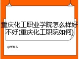 重庆化工职业学院怎么样好不好(重庆化工职院如何)