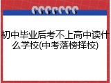 初中毕业后考不上高中读什么学校(中考落榜择校)