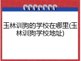 玉林训狗的学校在哪里(玉林训狗学校地址)