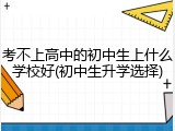 考不上高中的初中生上什么学校好(初中生升学选择)