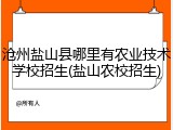 沧州盐山县哪里有农业技术学校招生(盐山农校招生)