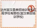 达州宣汉县单招培训学校正规学校有那些(宣汉单招培训学校)