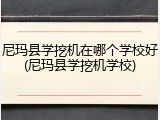尼玛县学挖机在哪个学校好(尼玛县学挖机学校)