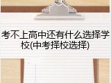 考不上高中还有什么选择学校(中考择校选择)