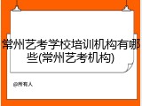 常州艺考学校培训机构有哪些(常州艺考机构)