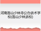 河南嵩山少林寺公办武术学校(嵩山少林武校)