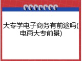 大专学电子商务有前途吗(电商大专前景)