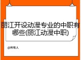 丽江开设动漫专业的中职有哪些(丽江动漫中职)