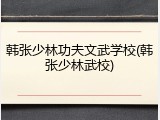韩张少林功夫文武学校(韩张少林武校)