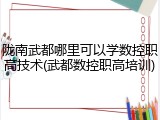 陇南武都哪里可以学数控职高技术(武都数控职高培训)