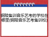 铜陵集训音乐艺考的学校在哪里(铜陵音乐艺考集训校)