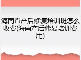 海南省产后修复培训班怎么收费(海南产后修复培训费用)