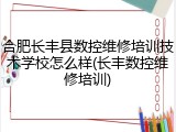 合肥长丰县数控维修培训技术学校怎么样(长丰数控维修培训)