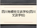 四川有哪些文武学校(四川文武学校)