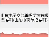山东电子商务单招学校有哪些专科(山东电商单招专科)
