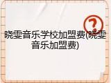晓雯音乐学校加盟费(晓雯音乐加盟费)