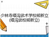 少林寺塔沟武术学校熊新立(塔沟武校熊新立)