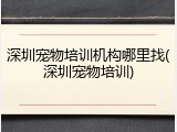 深圳宠物培训机构哪里找(深圳宠物培训)