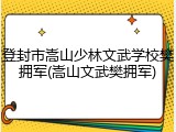 登封市嵩山少林文武学校樊拥军(嵩山文武樊拥军)