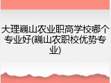 大理巍山农业职高学校哪个专业好(巍山农职校优势专业)
