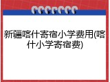 新疆喀什寄宿小学费用(喀什小学寄宿费)