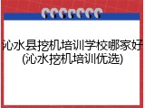 沁水县挖机培训学校哪家好(沁水挖机培训优选)