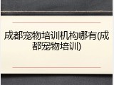 成都宠物培训机构哪有(成都宠物培训)