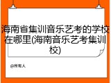 海南省集训音乐艺考的学校在哪里(海南音乐艺考集训校)