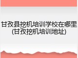 甘孜县挖机培训学校在哪里(甘孜挖机培训地址)