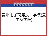 贵州电子商务技术学院(贵电商学院)