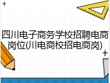 四川电子商务学校招聘电商岗位(川电商校招电商岗)