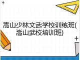 嵩山少林文武学校训练班(嵩山武校培训班)