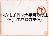 西安电子科技大学党政办主任(西电党政办主任)