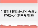 东营胜利石油技术中专怎么样(胜利石油中专如何)