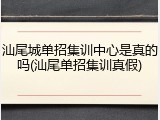 汕尾城单招集训中心是真的吗(汕尾单招集训真假)
