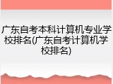 广东自考本科计算机专业学校排名(广东自考计算机学校排名)