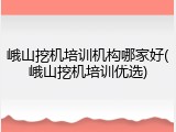 峨山挖机培训机构哪家好(峨山挖机培训优选)
