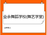业余舞蹈学校(舞艺学堂)