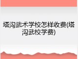 塔沟武术学校怎样收费(塔沟武校学费)