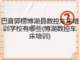 巴音郭楞博湖县数控车床培训学校有哪些(博湖数控车床培训)