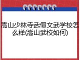 嵩山少林寺武僧文武学校怎么样(嵩山武校如何)